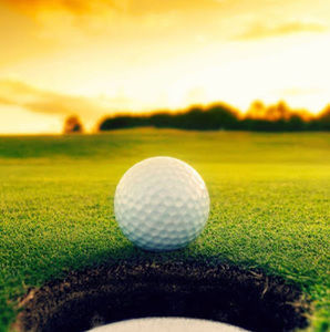 Meet your Posher, Connor